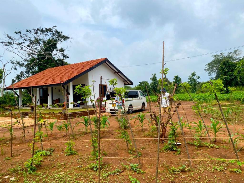 Moni Farm House Wilpattu Nochchiyagama Exterior foto