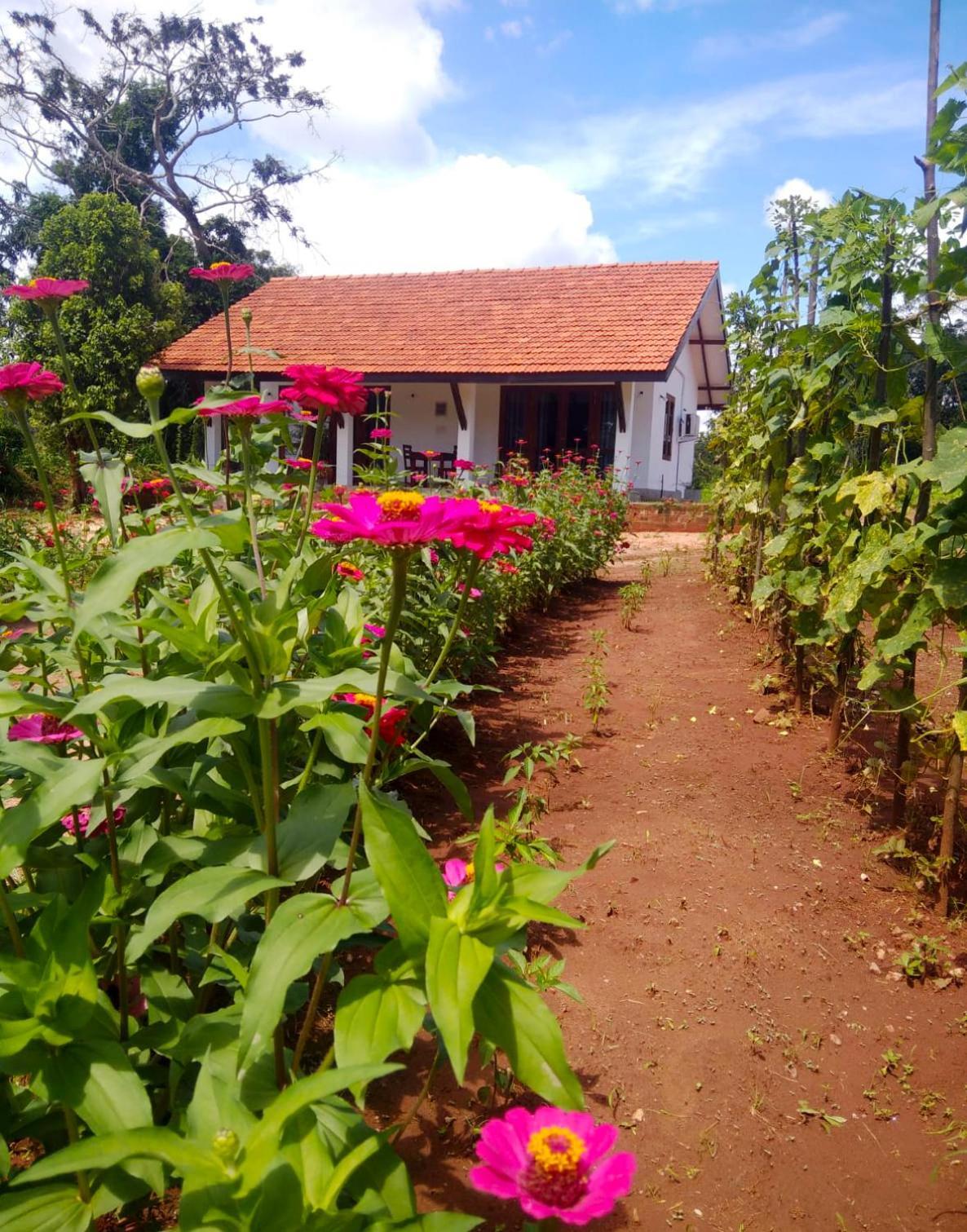 Moni Farm House Wilpattu Nochchiyagama Exterior foto