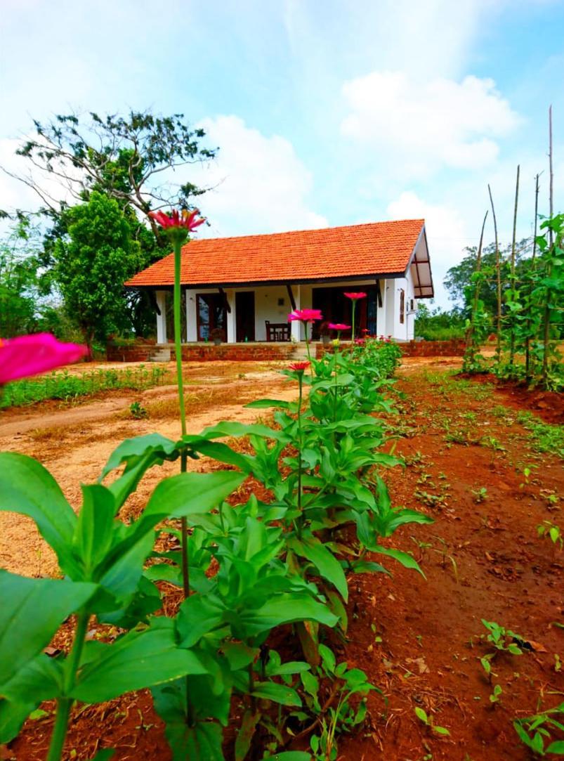 Moni Farm House Wilpattu Nochchiyagama Exterior foto