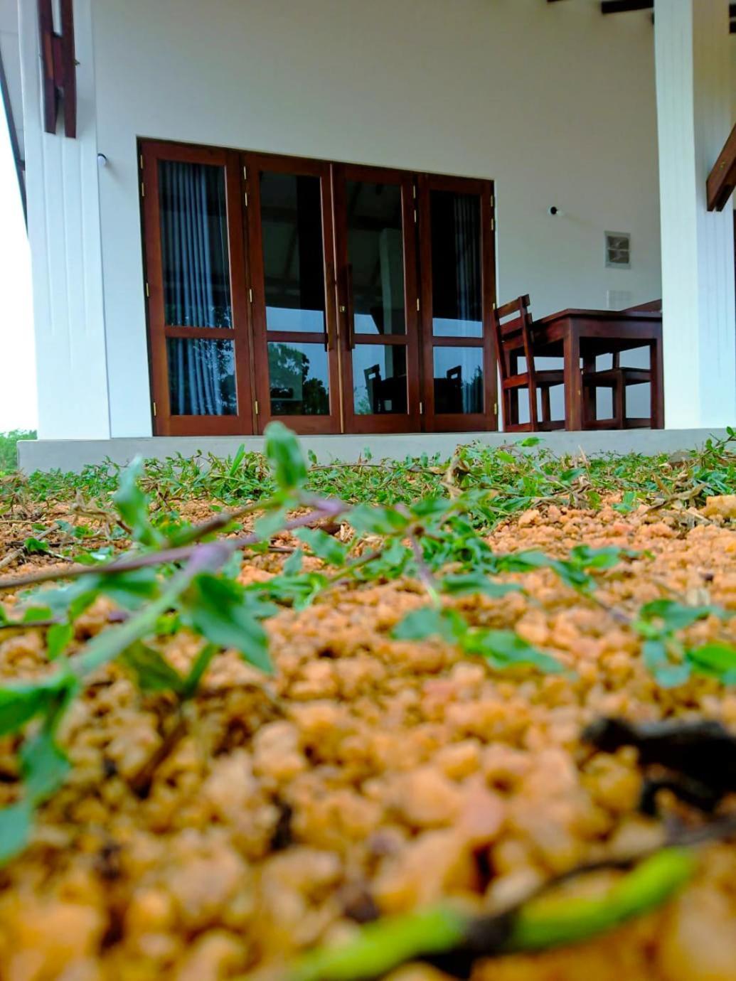 Moni Farm House Wilpattu Nochchiyagama Exterior foto